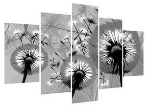 Fekete fehér kép -pitypang (150x105 cm)