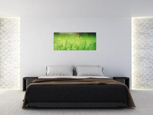 Kép - harmatos fű (120x50 cm)