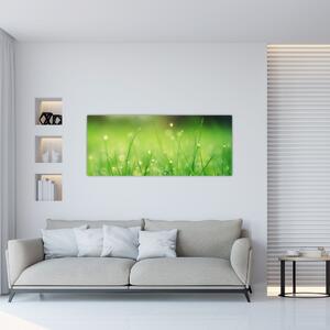 Kép - harmatos fű (120x50 cm)