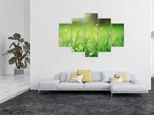 Kép - harmatos fű (150x105 cm)