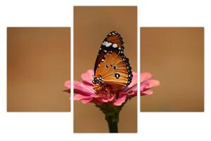Pillangó képe a virágon (90x60 cm)