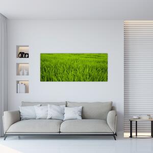 A fű képe (120x50 cm)