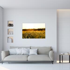 Harmatos fű képe (90x60 cm)