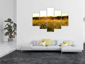 Harmatos fű képe (150x105 cm)