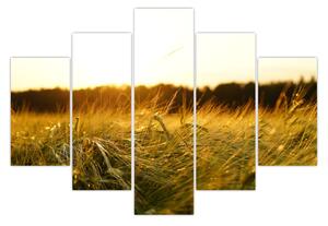 Harmatos fű képe (150x105 cm)