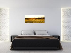Harmatos fű képe (120x50 cm)