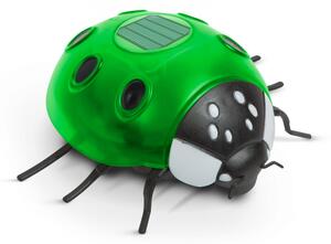 Szolár katicabogár - zöld - 14,5 x 12 x 6 cm - 6 melegfehér LED