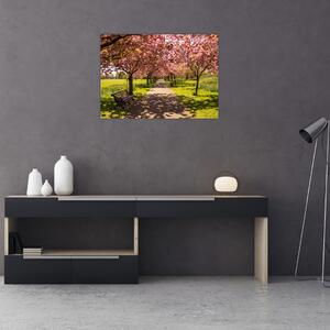 Kép - cseresznye ültetvény (70x50 cm)