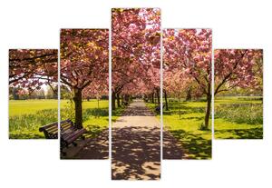 Kép - cseresznye ültetvény (150x105 cm)