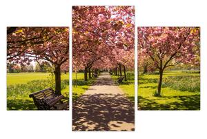 Kép - cseresznye ültetvény (90x60 cm)