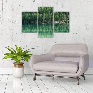 Kép - Tűlevelű a tónál (90x60 cm)