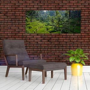 Kép a rizs teraszokról, Tegalalang, Bal (120x50 cm)