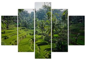 Kép a rizs teraszokról, Tegalalang, Bal (150x105 cm)
