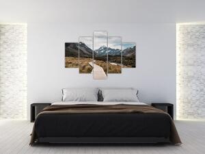 Kép - Sétány a hegységben Mt. Cook (150x105 cm)