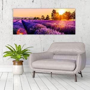 A levendula mező képe, Provence (120x50 cm)