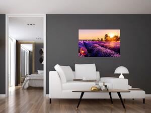 A levendula mező képe, Provence (90x60 cm)