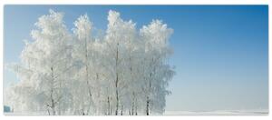 Egy havas táj képe (120x50 cm)