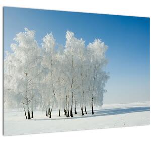 Egy havas táj képe (70x50 cm)