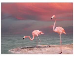 Flamingók képe (70x50 cm)