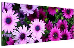 Kép - Virágok (120x50 cm)