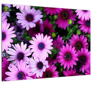 Kép - Virágok (70x50 cm)