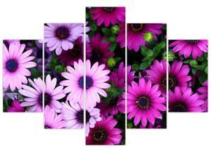 Kép - Virágok (150x105 cm)