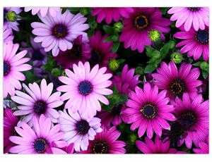 Kép - Virágok (70x50 cm)