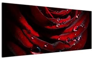 Kép - Rózsa részlete (120x50 cm)