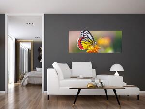Egy pillangó képe a virágon (120x50 cm)