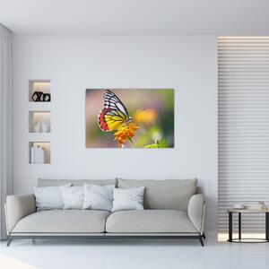 Egy pillangó képe a virágon (90x60 cm)