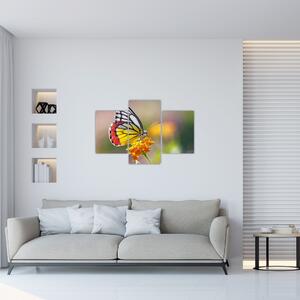 Egy pillangó képe a virágon (90x60 cm)