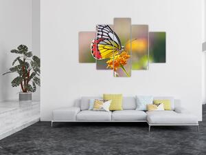 Egy pillangó képe a virágon (150x105 cm)