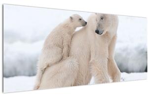 Kép - Jegesmedvék (120x50 cm)
