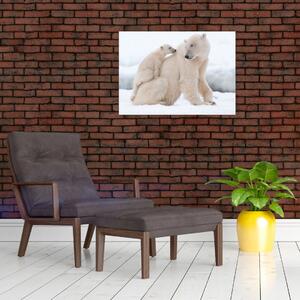 Kép - Jegesmedvék (70x50 cm)