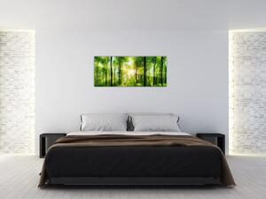 Kép - Hajnal az erdőben (120x50 cm)