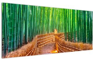 Kép - Japán bambusz erdő (120x50 cm)