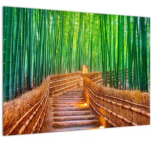 Kép - Japán bambusz erdő (70x50 cm)