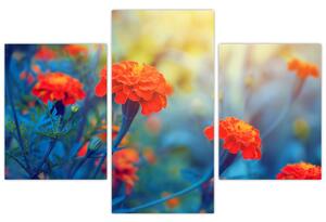 Kép - Narancssárga virágok (90x60 cm)