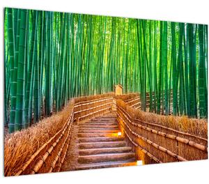 Kép - Japán bambusz erdő (90x60 cm)