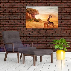 Kép - Zsiráfok Afrikában (90x60 cm)