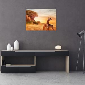 Kép - Zsiráfok Afrikában (70x50 cm)