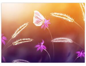 Kép - Rózsaszín pillangó (70x50 cm)