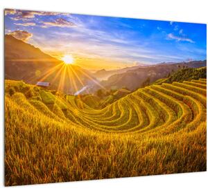 Kép - Rizs teraszok Vietnamban (70x50 cm)