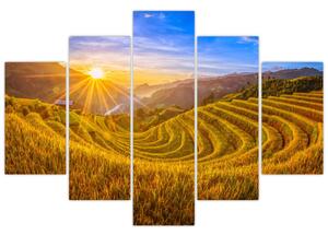 Kép - Rizs teraszok Vietnamban (150x105 cm)