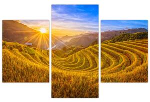 Kép - Rizs teraszok Vietnamban (90x60 cm)