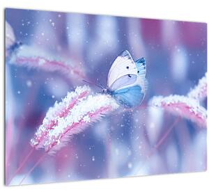 Kép - Pillangók télen (70x50 cm)