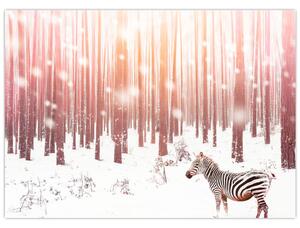 Kép - Zebra egy havas erdőben (70x50 cm)