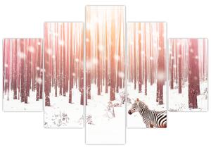 Kép - Zebra egy havas erdőben (150x105 cm)