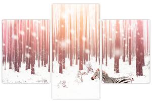 Kép - Zebra egy havas erdőben (90x60 cm)