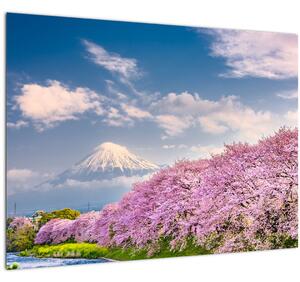 Kép - Japán tavaszi táj (üvegen) (70x50 cm)